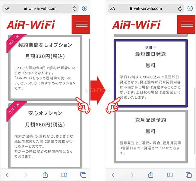 オプションと発送日を選ぶ