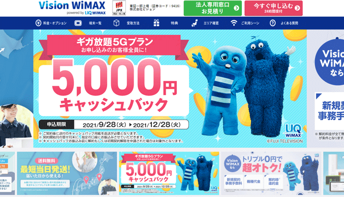 Vision WiMAX