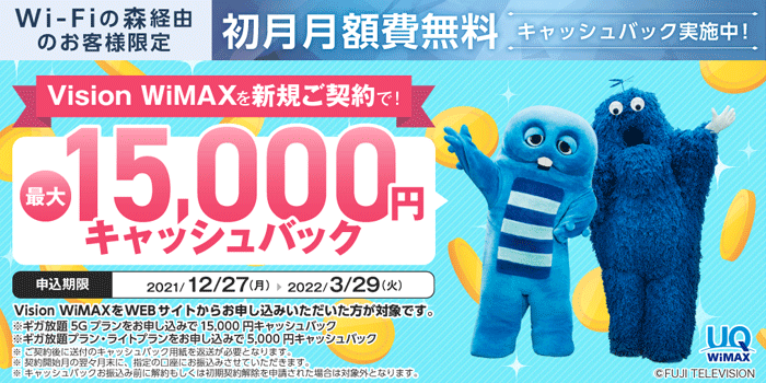 Vision WiMAX