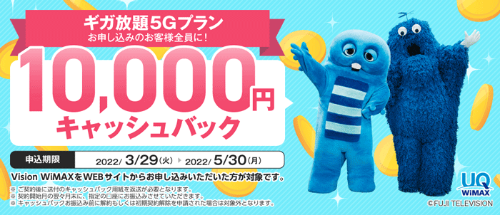 Vision WiMAX