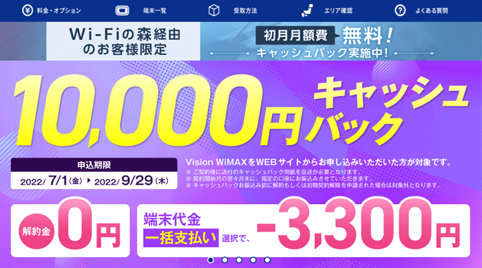 Vision WiMAX
