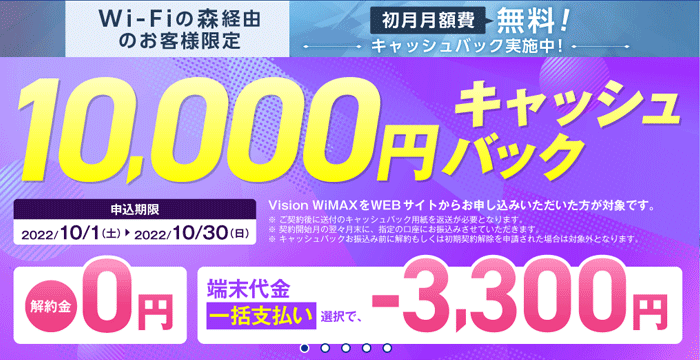 Vision WiMAX