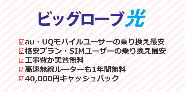 ビッグローブ光