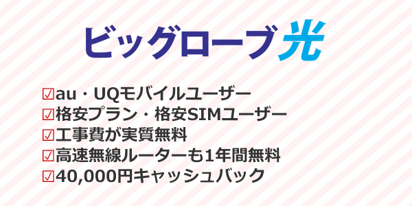 ビッグローブ光