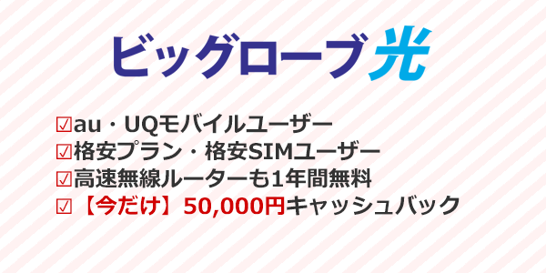 ビッグローブ光