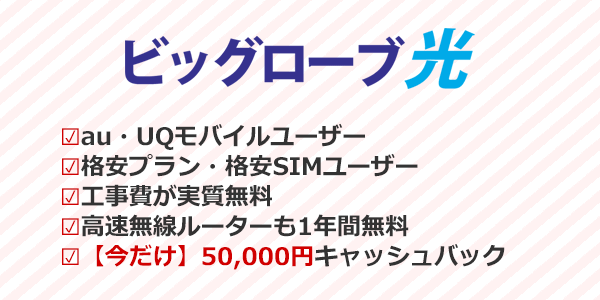ビッグローブ光