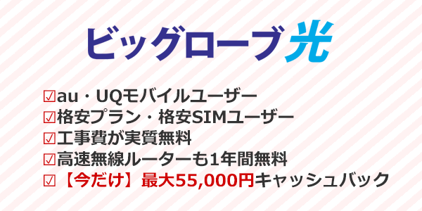 ビッグローブ光
